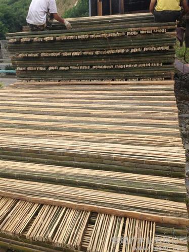 供应辉煌竹木66--69,69--72建筑基础材料竹,木产品